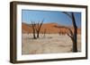 The Dead Acacia Trees of Deadvlei at Sunrise-Alex Saberi-Framed Photographic Print