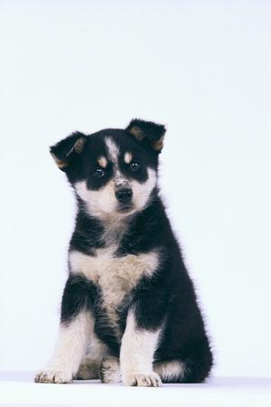 Premium Photographic Print, , small