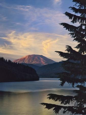 Premium Photographic Print, , small