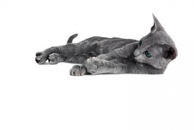 Premium Photographic Print, , small