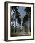 Codrington College, Barbados-null-Framed Photographic Print