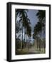 Codrington College, Barbados-null-Framed Photographic Print