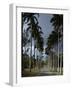 Codrington College, Barbados-null-Framed Photographic Print