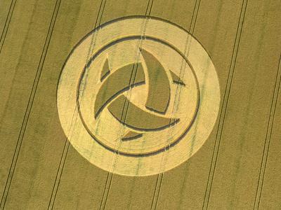 Photographic Print, , small