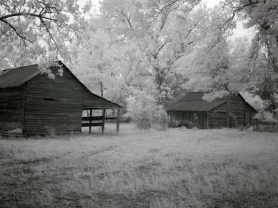 Photo, , small