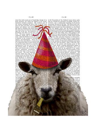 Premium Giclee Print, , small
