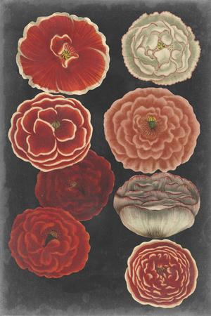 Premium Giclee Print, , small