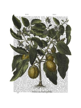 Premium Giclee Print, , small