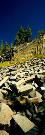 Photographic Print, , small