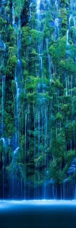 Premium Photographic Print, , small