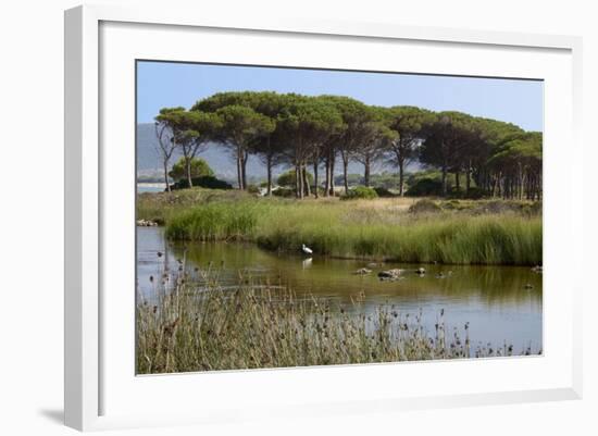 Lake with Water Plants and Bird-Guy Thouvenin-Framed Photographic Print