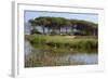 Lake with Water Plants and Bird-Guy Thouvenin-Framed Photographic Print