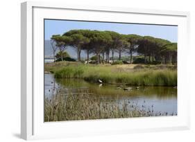Lake with Water Plants and Bird-Guy Thouvenin-Framed Photographic Print