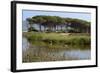 Lake with Water Plants and Bird-Guy Thouvenin-Framed Photographic Print