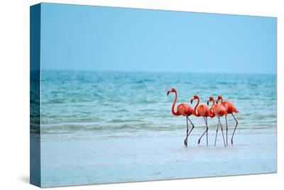 Stretched Canvas Print, , small