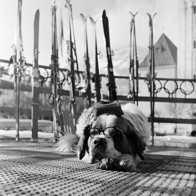 Photographic Print, , small