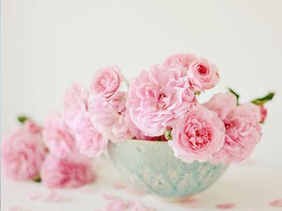Premium Photographic Print, , small