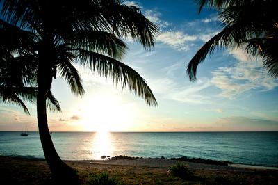 Premium Photographic Print, , small