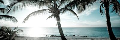 Premium Photographic Print, , small