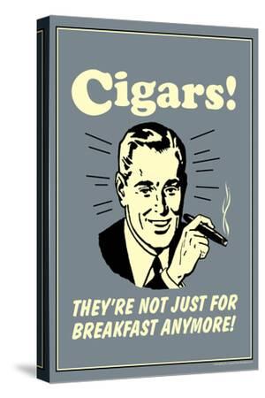 Stretched Canvas Print, , small