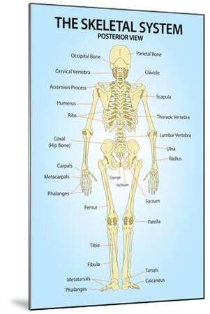 Poster, , small