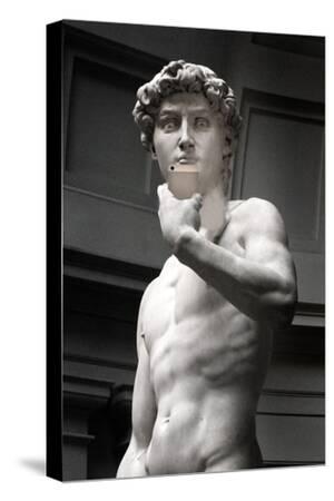 Stretched Canvas Print, , small