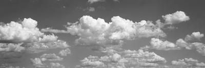 Photographic Print, , small