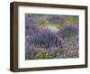 Blue Pod Lupin and Dandelions, Crescent City, California, USA-Adam Jones-Framed Photographic Print