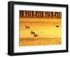 Sunrise and Pelicans by Urangan Pier, Hervey Bay, Queensland, Australia-David Wall-Framed Photographic Print