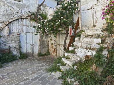 Photographic Print, , small