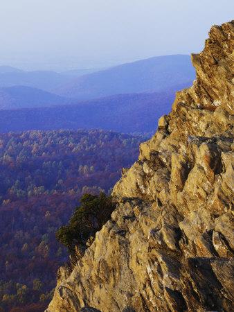 Photographic Print, , small