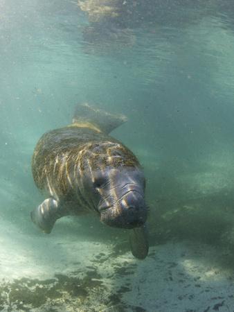 Photographic Print, , small