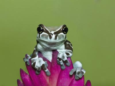 Photographic Print, , small