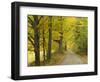 Country Road Passing by Autumn Trees, New England, USA-Walter Bibikow-Framed Photographic Print