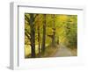 Country Road Passing by Autumn Trees, New England, USA-Walter Bibikow-Framed Photographic Print