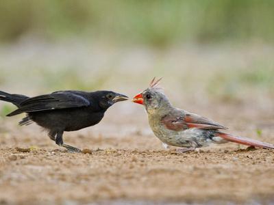 Photographic Print, , small