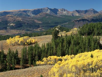 Photographic Print, , small