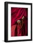 Hands of a Monk in Red Holding Prayer Beads, Leh, Ladakh, India-Ellen Clark-Framed Photographic Print