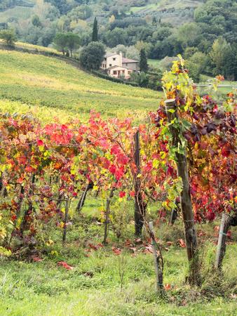 Photographic Print, , small