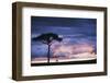 Kenya, Maasai Mara. Sunset after Storm on Plains-Kent Foster-Framed Photographic Print