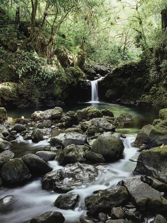 Photographic Print, , small