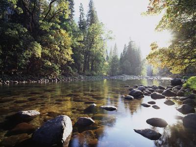 Photographic Print, , small