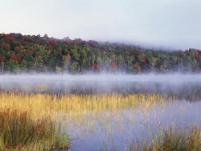 Photographic Print, , small