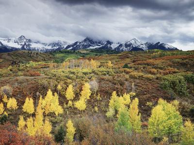 Photographic Print, , small