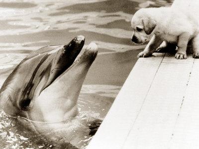 Photographic Print, , small