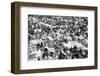 Reading Pop Festival, 1971-David White-Framed Photographic Print