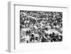 Reading Pop Festival, 1971-David White-Framed Photographic Print