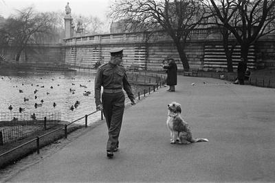 Photographic Print, , small