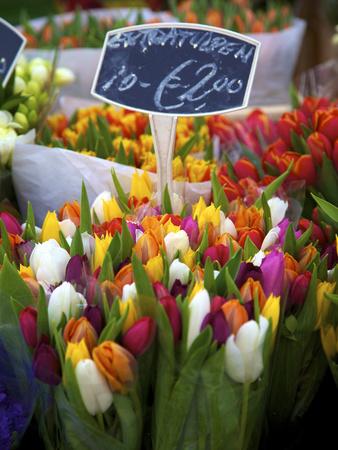 Photographic Print, , small