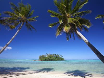 Photographic Print, , small